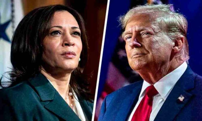 Kamala-Harris-y-Donald-Trump-se-preparan-para-su-primer-debate.jpg