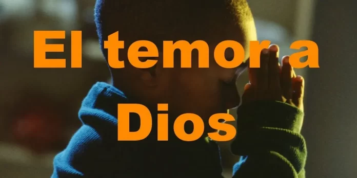 temor.webp.webp